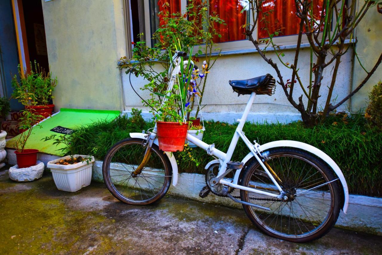 Lovely Apartment W/ Ac + Bath. + Kitchen + Parking And Garden Shkodër Buitenkant foto